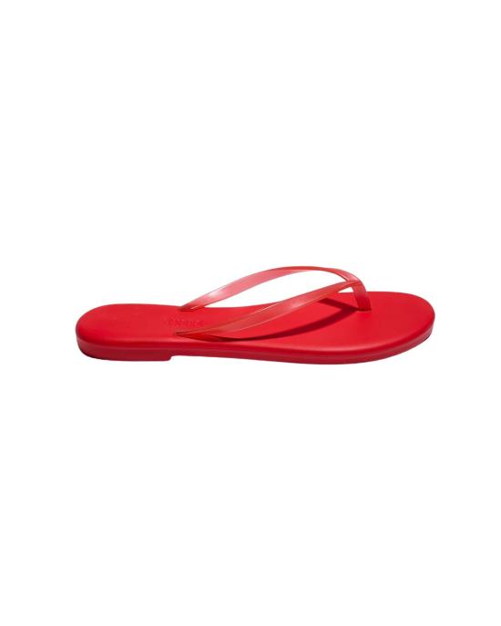 26SS 티키스 뮬/슬리퍼 AQUA SRED SOL RED