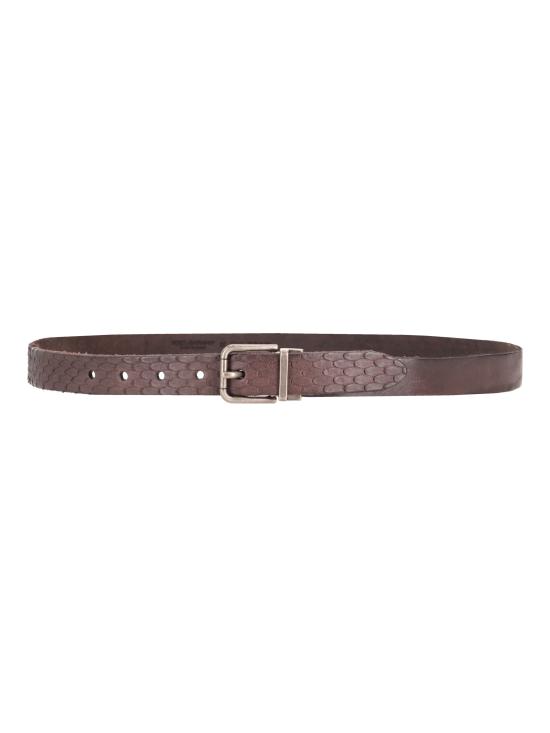 26FW 돌체앤가바나 레귤러 벨트 BC3614 80048 TESTA DI MORO - DOLCE & GABBANA