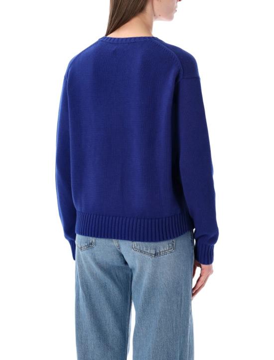 26SS 폴로 랄프로렌 스웨터 211A96238001 Blue - POLO RALPH LAUREN
