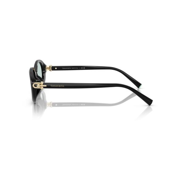 26SS 티파니앤코 선글라스 0Tf4242d 타원형 - TIFFANY & CO
