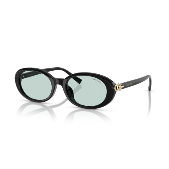 26SS 티파니앤코 선글라스 0Tf4242d 타원형 - TIFFANY & CO