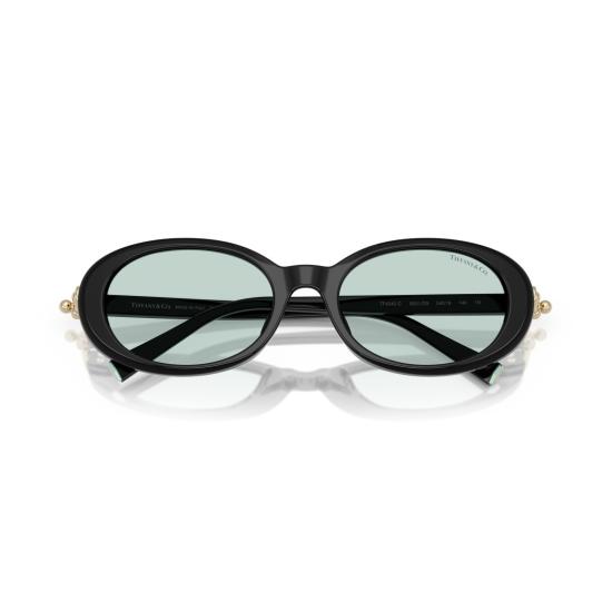 26SS 티파니앤코 선글라스 0Tf4242d 타원형 - TIFFANY & CO