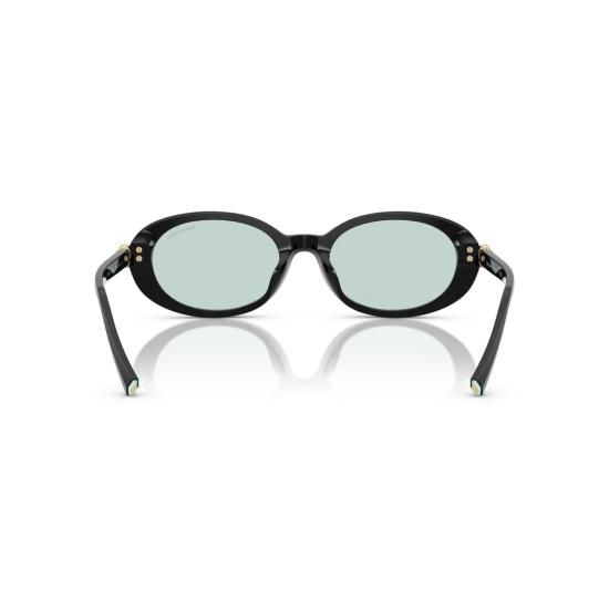 26SS 티파니앤코 선글라스 0Tf4242d 타원형 - TIFFANY & CO