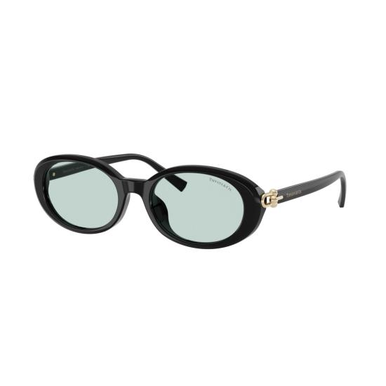 26SS 티파니앤코 선글라스 0Tf4242d 타원형 - TIFFANY & CO