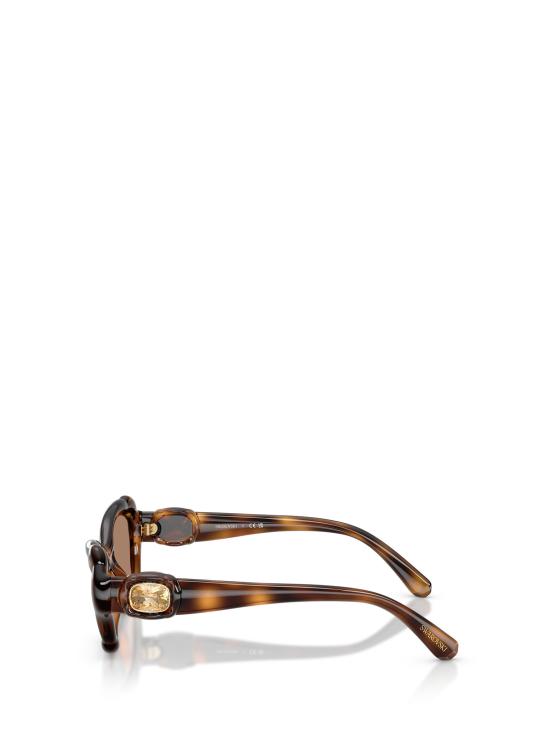 26FW 스와로브스키 선글라스 SK6050 100273 HAVANA - SWAROVSKI