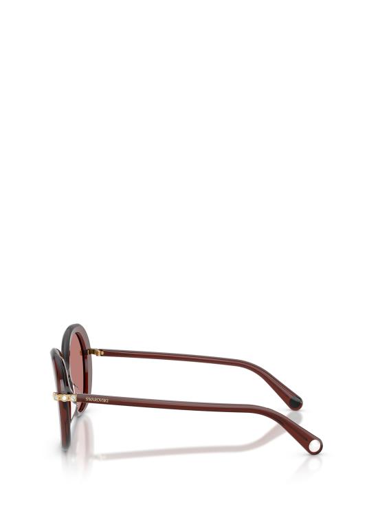 26FW 스와로브스키 선글라스 SK6059 109869 TRANSPARENT BURGUNDY - SWAROVSKI