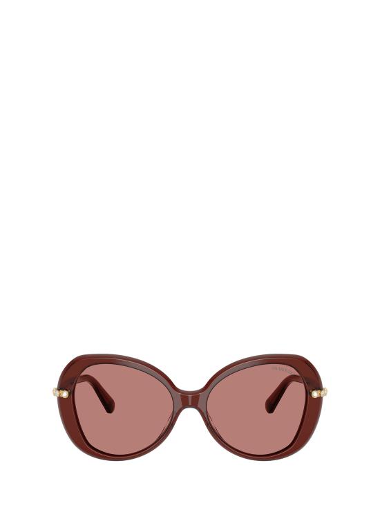 26FW 스와로브스키 선글라스 SK6059 109869 TRANSPARENT BURGUNDY