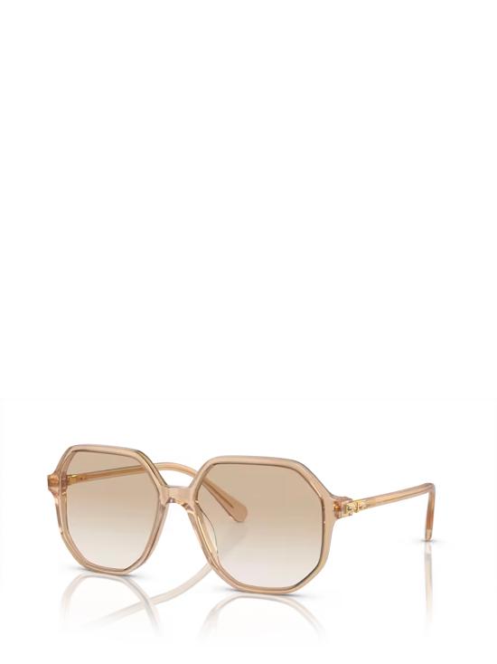 26FW 스와로브스키 선글라스 SK6003 103411 BLACK - SWAROVSKI