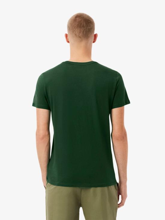 26FW 라코스테 피마 코튼 저지 크루넥 티셔츠 TH6709 132 GREEN - LACOSTE