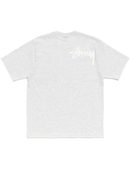 26SS 스투시 반팔 티셔츠 1905194 0062 Ash heather - STUSSY