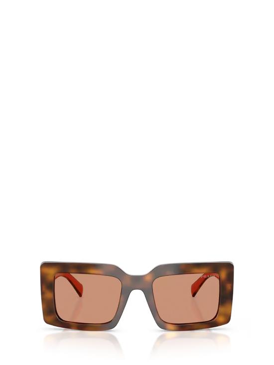 26FW 프라다 선글라스 PR D01S 01K90Q JUNIPER TORTOISE COTTO