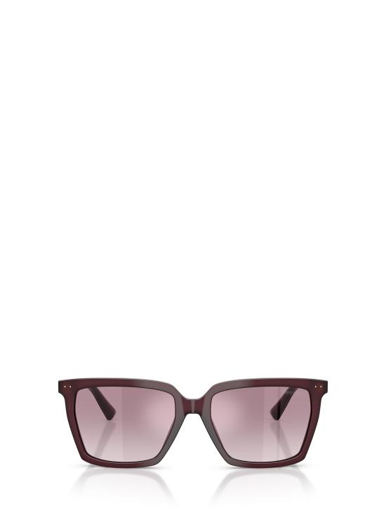 26FW 지미추 선글라스 JC5051 50866X OPALINE PRUNE