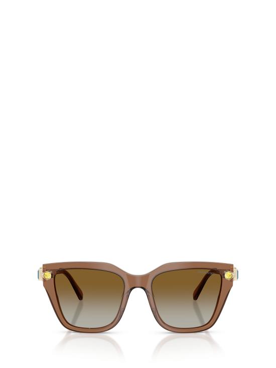 26FW 스와로브스키 선글라스 SK6041 1067T5 TRANSPARENT BROWN