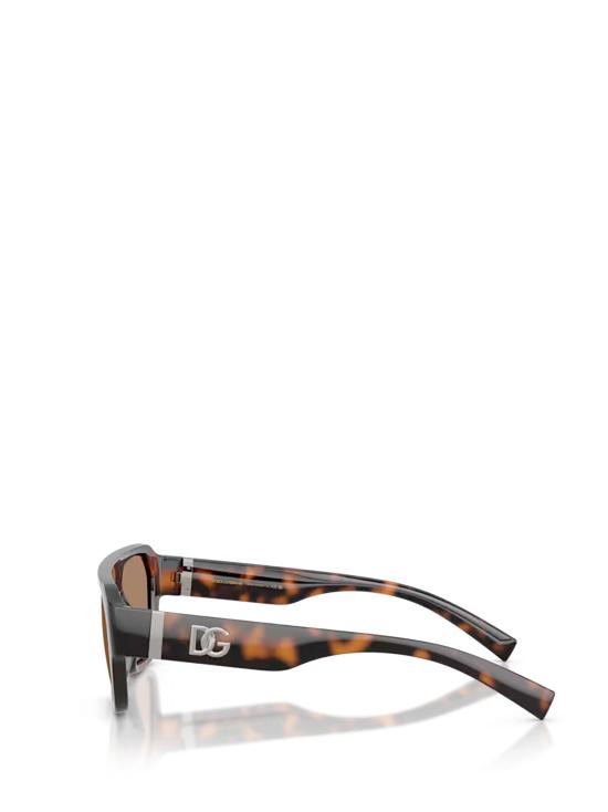 26FW 돌체앤가바나 선글라스 DG6206 502 73 HAVANA - DOLCE & GABBANA