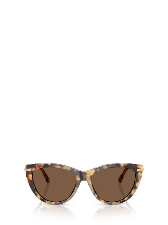 26FW 티파니앤코 선글라스 TF4253 80643G BLONDE HAVANA