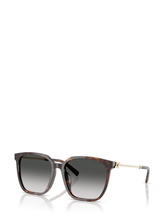 26FW 티파니앤코 선글라스 TF4244D 80153C HAVANA - TIFFANY & CO