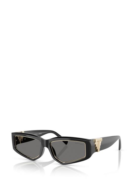 26FW 티파니앤코 선글라스 TF4234U 8001S4 BLACK - TIFFANY & CO