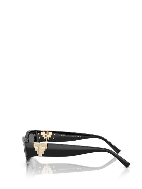 26FW 티파니앤코 선글라스 TF4234U 8001S4 BLACK - TIFFANY & CO