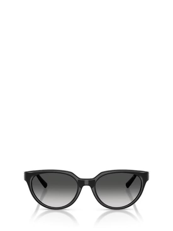 26FW 티파니앤코 선글라스 TF4256D 80013C BLACK