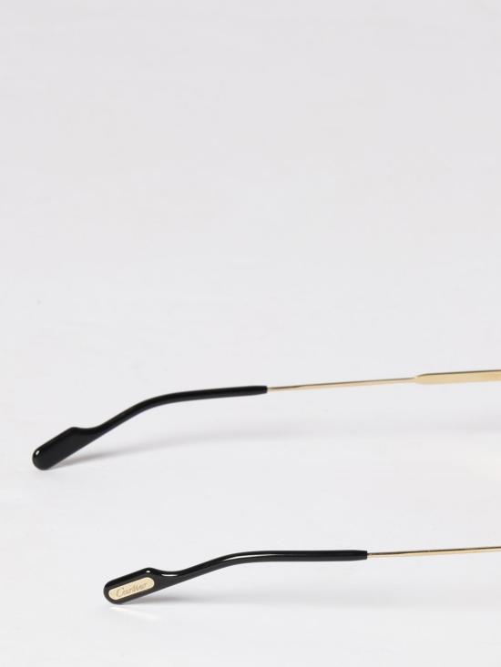 26SS 까르띠에 선글라스 CT0616S 002 Brown - CARTIER