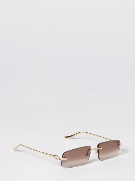 26SS 까르띠에 선글라스 CT0505S 003 Brown