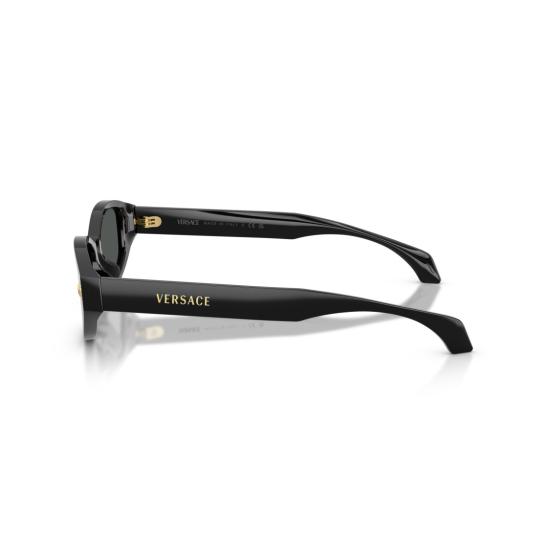 26SS 베르사체 선글라스 0Ve4512d 호피 무늬 아세테이트 타원형  (골드 메두사 장식) - VERSACE