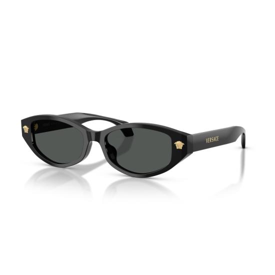 26SS 베르사체 선글라스 0Ve4512d 호피 무늬 아세테이트 타원형  (골드 메두사 장식) - VERSACE