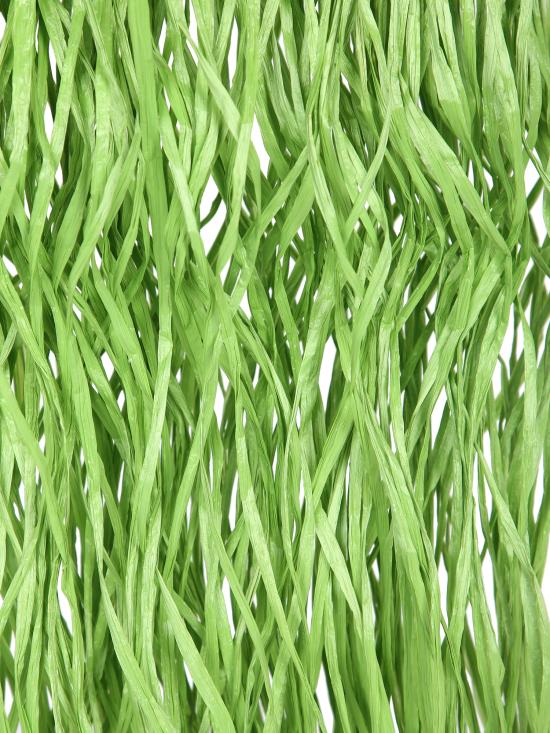 26SS 히보우라마 숄더백 VANNIFIQUE MINI FRING APPLEGREEN Multi - HIBOURAMA