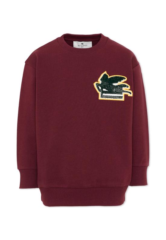 26FW [키즈] 에트로 니트/스웻셔츠 GZ4P50 Z3183 530 RED