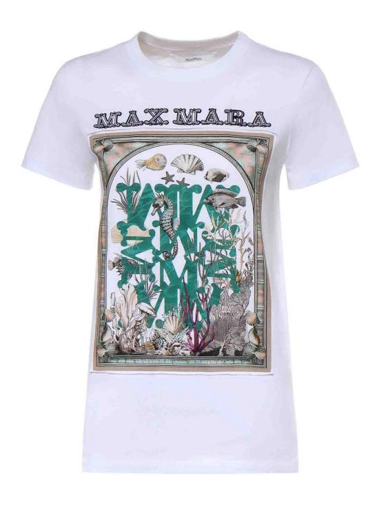 26SS 막스마라 스파디노 코튼 티셔츠 261194106260001E15 White