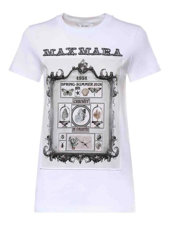 26SS 막스마라 스파디노 코튼 티셔츠 261194106260002E15 White