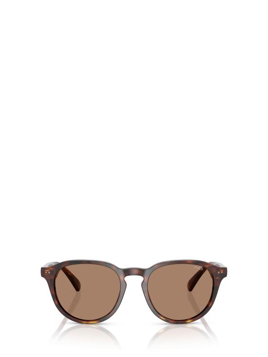 26FW 폴로 랄프로렌 선글라스 PH4221 613773 SHINY BROWN TORTOISE