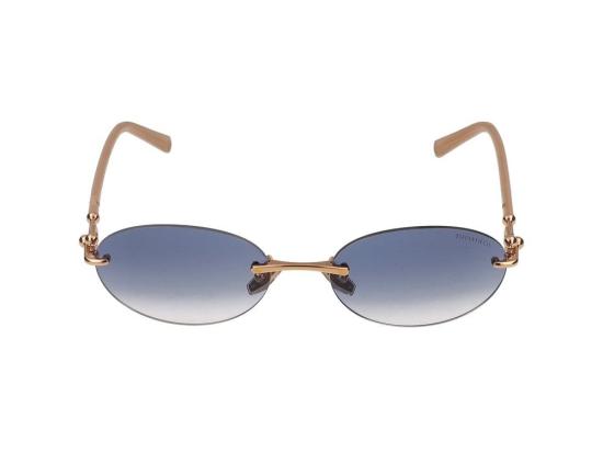  티파니앤코 선글라스 0TF3104D Gold