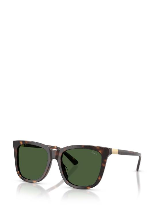 26FW 폴로 랄프로렌 선글라스 PH4201U 500371 SHINY DARK HAVANA - POLO RALPH LAUREN