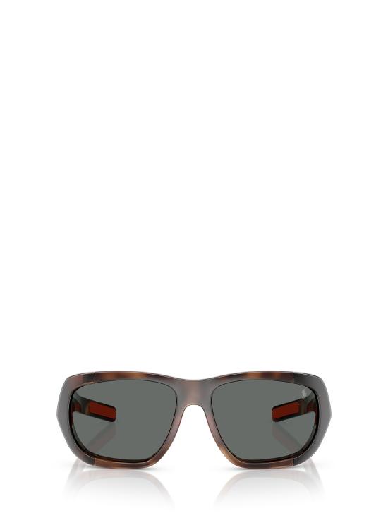 26FW 폴로 랄프로렌 선글라스 PH4219U 597487 SHINY DARK HAVANA