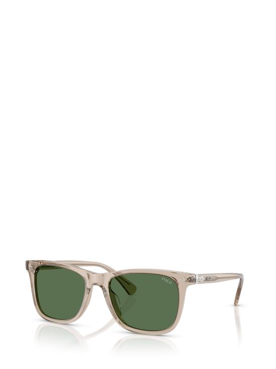 26FW 폴로 랄프로렌 선글라스 PH4220U 620171 SHINY TRANSPARENT DARK TAUPE - POLO RALPH LAUREN