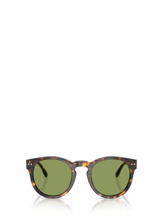 26FW 랄프 로렌 선글라스 RL8229U 50034E DARK HAVANA