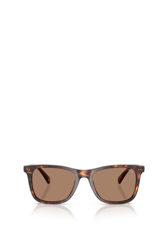 26FW 폴로 랄프로렌 선글라스 PH4220U 613773 SHINY BROWN TORTOISE