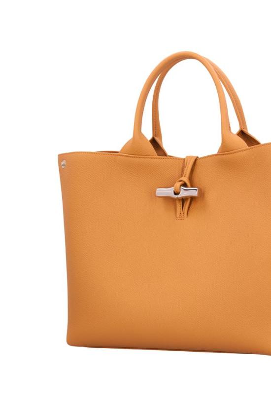 26FW 롱샴 르 로조 L 핸드백 10290HFP - LONGCHAMP