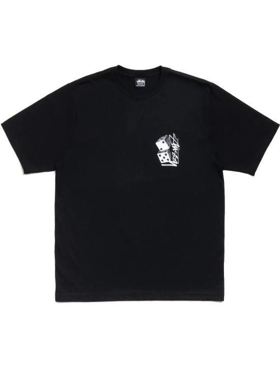 26SS 스투시 반팔 티셔츠 1905187 0001 BLACK