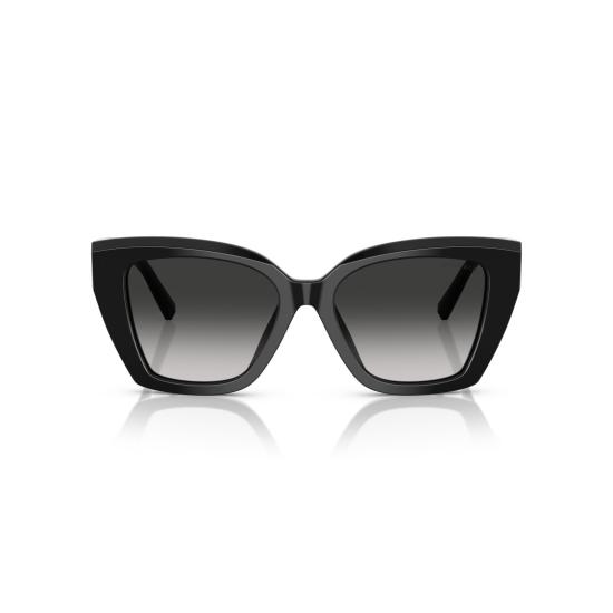 26SS 티파니앤코 선글라스 골드톤 액센트가 있는 오버사이즈 스퀘어 프레임 - TIFFANY & CO