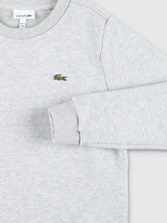 26SS [키즈] 라코스테 풀오버 947581 GH0 Grey - LACOSTE