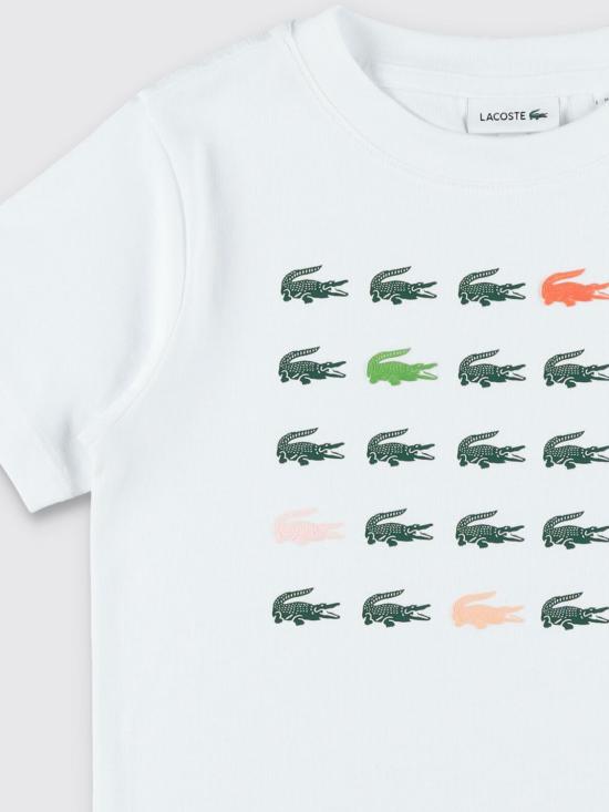 26SS [키즈] 라코스테 티셔츠 847587 W8L White - LACOSTE