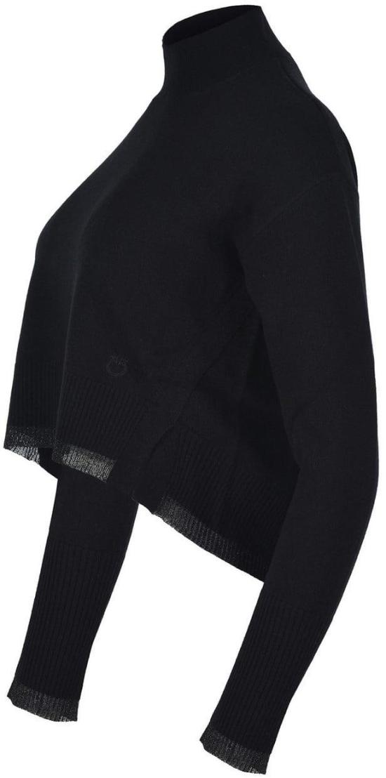  핑코 터틀넥 103996A235 BLACK - PINKO