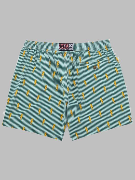 26FW 세인트바쓰 스윔팬츠 LIG0016 07583L5191 MULTICOLOUR - MC2 SAINT BARTH