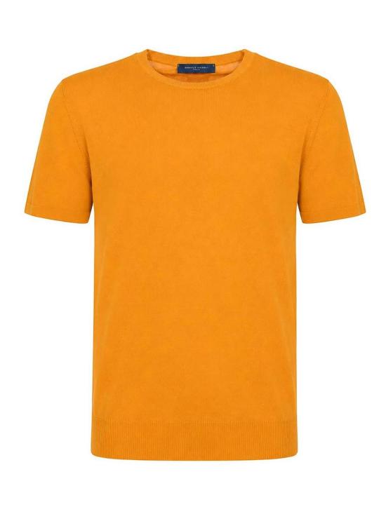 26SS 다니엘피에솔리 반팔 티셔츠 DF0307SENAPE Dark Yellow