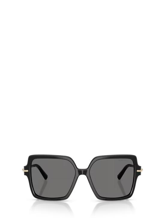 26FW 티파니앤코 선글라스 TF4260U 8001S4 BLACK