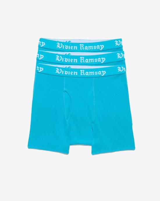  vivien ramsay 팬티 비비안 램지 복서 브리프 3팩 속옷 - OTHER BRANDS