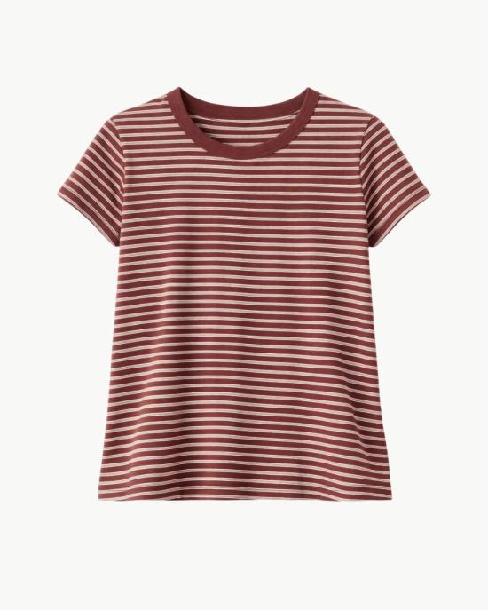  랙앤본 반팔 티셔츠 Rag & Bone 슬럽 스트라이프 티셔츠 브라운 멀티