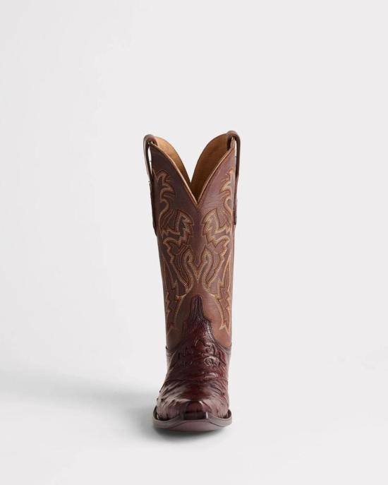  Lucchese 부츠 루케세 아우구스타 부트 시에나 - OTHER BRANDS